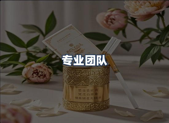 专业团队